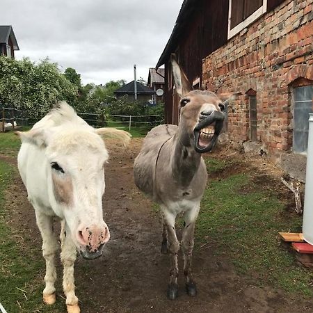 Stuga Asnagard Torsby Exteriér fotografie