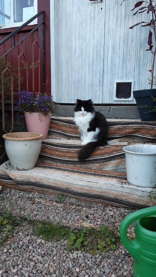 Stuga Asnagard Torsby Exteriér fotografie