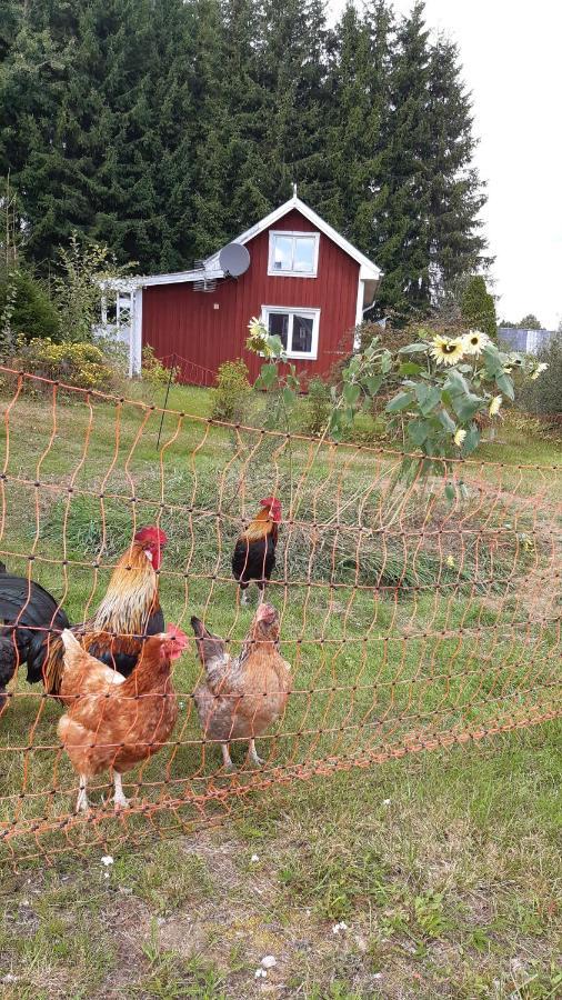 Stuga Asnagard Torsby Exteriér fotografie